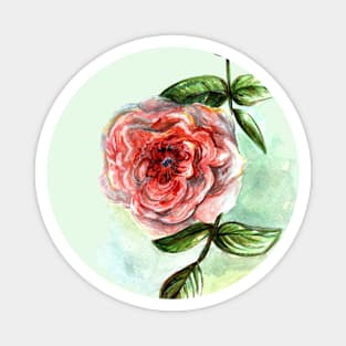 A Single Rose Watercolor Magnet